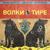 Волки в тире - Юрий Шевчук
