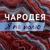 Я по полю - Чародея
